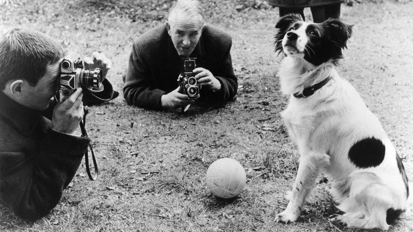 Fußball-Held: Wie Hund Pickles den WM-Pokal rettete